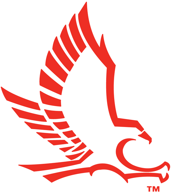 Hartford Hawks 1984-Pres Secondary Logo diy fabric transfer